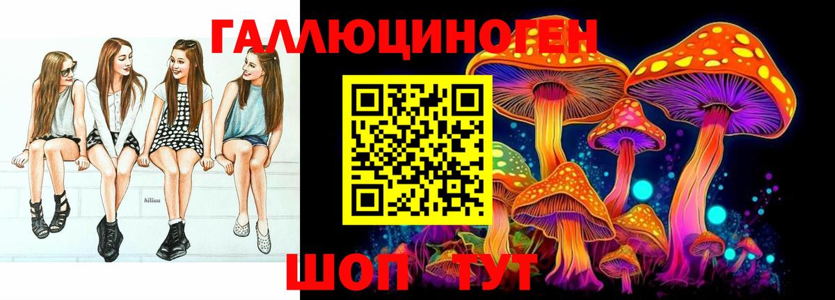 Галлюциногенные грибы Magic Shrooms  Псилоцибиновые грибы MAGIC MUSHROOMS  Вход с VPN  купить наркотик  Курчалой 